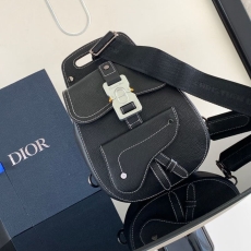 Christian Dior Waist Chest Packs